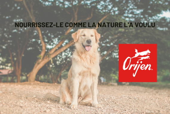 image de couverture ORIJEN