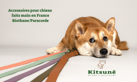 image de couverture KITSUNĒ