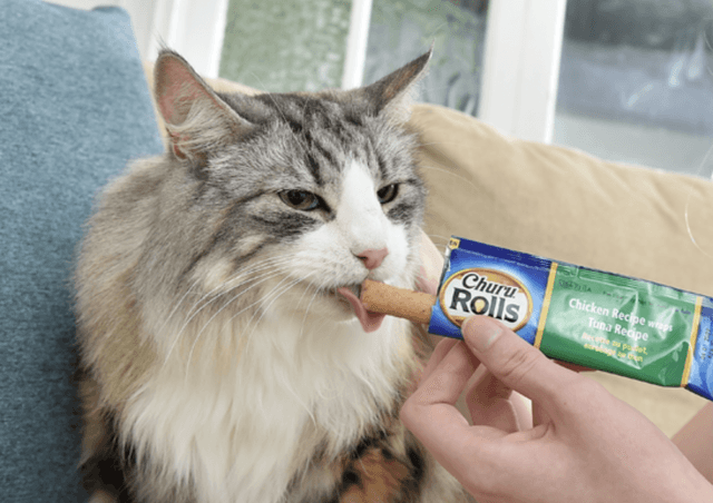 image de couverture INABA