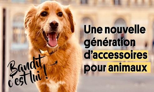 image de couverture BANDIT